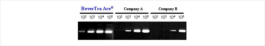 Comparison of cDNA synthesis efficiency by RT-PCR